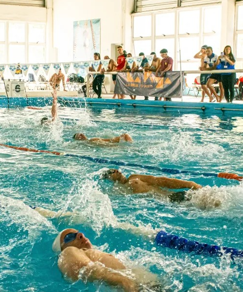 Natación