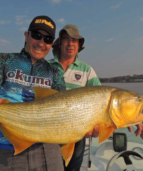 Pesca